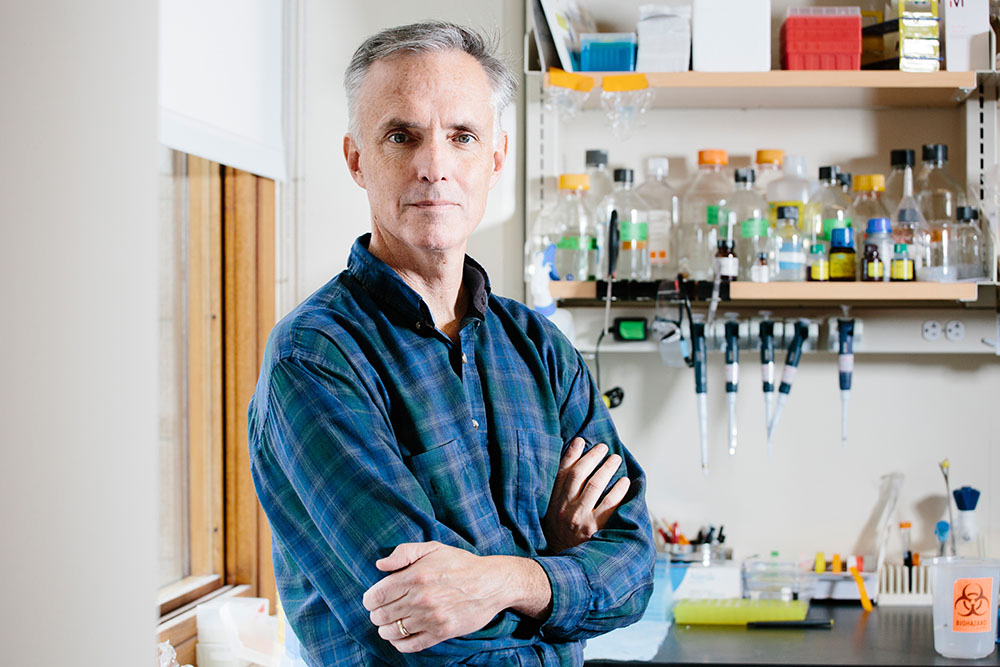 Investigador del MIT en laboratorio de biología sintética
